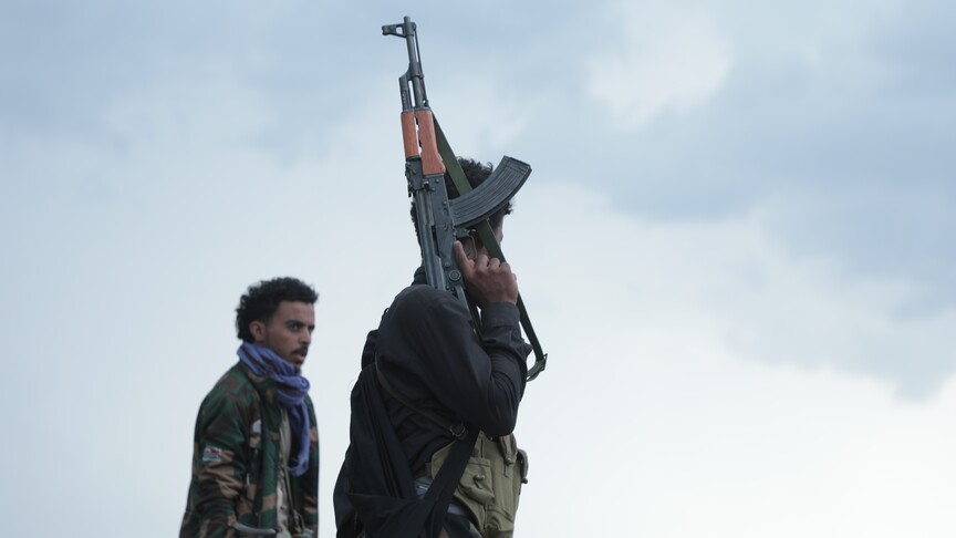 Yemen'de Hükümet Güçleri,